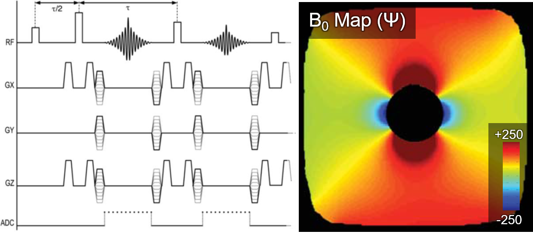 Pulse sequence and B0 map